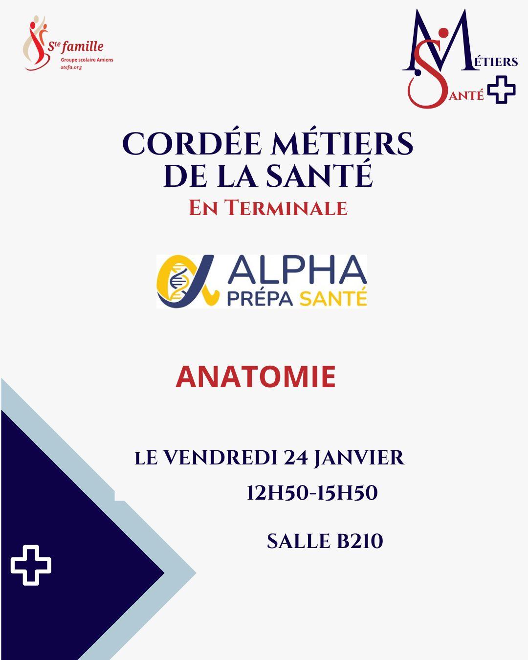 Cordee metiers de la sante pdf